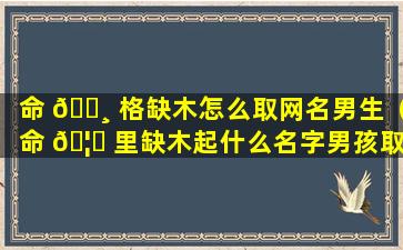 命 🕸 格缺木怎么取网名男生（命 🦆 里缺木起什么名字男孩取什么名）